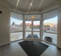 Glazed entrance with tiles and carpet in Warehouses and Halls.