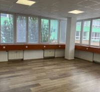 Offices with wood-patterned flooring and large windows.