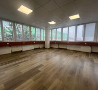Large office spaces with wood-patterned flooring and large windows.