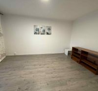 Living room in a 4-room apartment with a wooden decor floor, a shelf, and paintings on the wall.