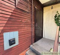 Entrance to the wooden cabin in Nové Zámky with climbing plants on the wall.