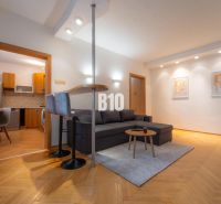 Living room in a 2-room apartment with a bar, wooden decor flooring, and kitchen.