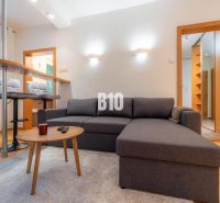 Living room with a sofa, bar counter, and wooden decor flooring in a 2-room apartment.