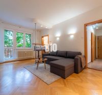 Living room in a two-room apartment with a wooden decor floor and a large window.