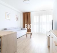 Living room in a two-room apartment with a wooden decor floor and simple furniture.