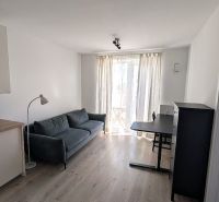 Living room with a sofa, kitchenette, and dining table, floor with wooden decor.
