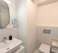 Bathroom with a sink, mirror, and shower in a 2-room apartment.