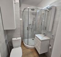A bathroom in a studio apartment with a wooden decor floor, a shower corner, and a sink.
