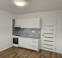 Studio apartment with a kitchenette, white cabinets, and a floor with a wood decor.