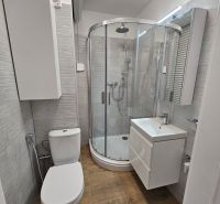 A bathroom in a studio apartment with a modern shower, sink, toilet, and a wooden decor floor.