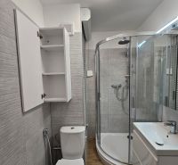 Bathroom with toilet, shower, and cabinet in a studio apartment with a wooden decor floor.
