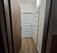 The entrance hallway of a studio apartment with a wooden-patterned floor and white doors.