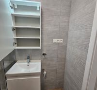 A bathroom in a studio apartment with a sink and a wooden decor floor.