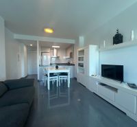 Recreational apartment with a sofa, dining table, and TV, floor with wooden decor.