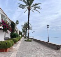 Seaside promenade in La Manga del Mar Menor, Spain, lined with palm trees and lamps.