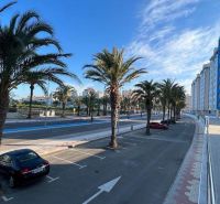 Palm trees and cars parked along the road near apartments in La Manga del Mar Menor, Spain.