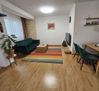 Living room of a three-room apartment with a colorful carpet and a wooden decor floor.