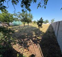 A garden at a family house in Nesvady with fruit trees and a greenhouse.