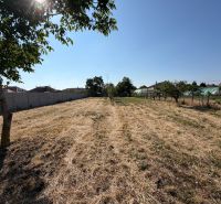 A plot of land with fruit trees and grass in the town of Nesvady near family houses.