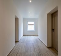 A hallway in a family house with a wooden decor floor and a window at the end.