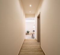 A hallway in a family house with a wooden decor floor and a plant at the end.