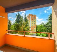 View from the balcony of a 3-room apartment in the Rimava Housing Estate in Rimavská Sobota.