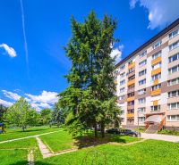 Sídlisko Rimava in Rimavská Sobota with a block of flats, a children's playground, and greenery.