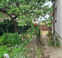 A garden at a family house in Dulovce with a tree and flowers along the path.