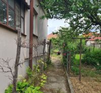 A garden next to a family house in Dulovce with a walkway and plants.