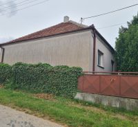 A family house in Dulovce with a fence overgrown with greenery, situated by the road.