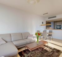 Living room with a sofa, table, kitchen, and wooden decor flooring in a 3-room apartment.