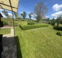 The garden of a family house in Orlov with a lawn and shrubs, the sky is clear.