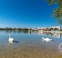 Lake with swans, sandy beach, surrounding buildings on Budatínska Street in Bratislava.