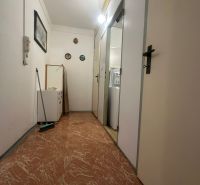 A hallway in a 2-room apartment with a wooden decor floor, white walls, and light.
