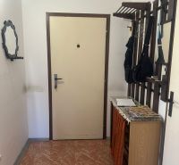 The entrance hall in a 2-room apartment with a coat rack and a shoe cabinet.