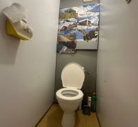 A toilet with wall decoration and storage space in a 2-room apartment.