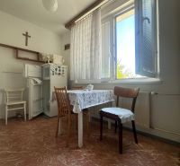 Dining room in a 2-room apartment with a kitchen table, refrigerator, and large window.
