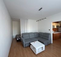 A stylish living room in a 3-room apartment with a wooden decor floor.