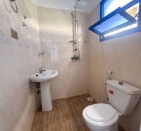 Bathroom with a sink, shower, and toilet in a family house, floor with wood decor.