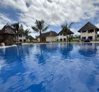 A garden by family houses in Zanzibar surrounded by palm trees.