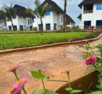 Houses in Zanzibar surrounded by palm trees and colorful flowers in the garden.