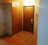 Entrance hallway with wood-patterned flooring in a 3-room apartment with wardrobe closets.
