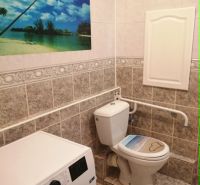 Bathroom with toilet and washing machine in a 3-room apartment, decorative painting on the wall.