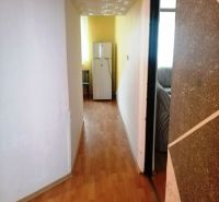 A hallway in a 3-room apartment with a wooden decor floor, leading to the refrigerator.