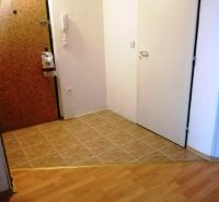 Hallway of a 3-room apartment with tiles and flooring with a wooden decor.