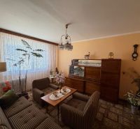 Living room in a 2-room apartment with antique furniture and green plants.