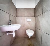 Toilet with sink, neutral tiles, commercial premises.