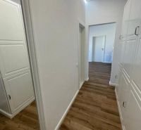 A hallway with a wooden decor floor in a 3-room apartment with built-in wardrobes.