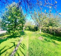 A garden of a family house in Žirany, Nitra district with fruit trees and a lawn.