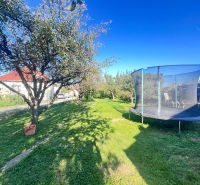 Garden in Žirany, Nitra district, Nitra region with a fruit tree and a trampoline near a family house.